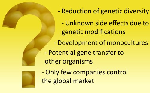 GM Crops Risks and Questions ChemistryViews ChemViews